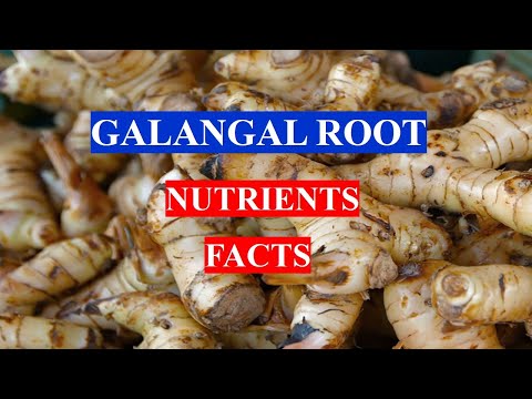 , title : 'GALANGAL ROOT - GINGER - Spice - HEALTH BENEFITS AND NUTRIENTS FACTS'