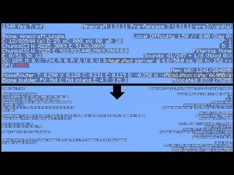 Minecraft - How To Resize The F3 Debug Menu