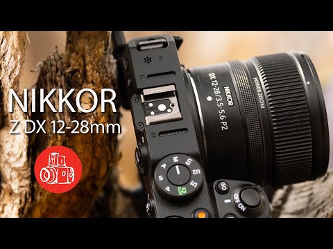 Video thumbnail for Video Review 3