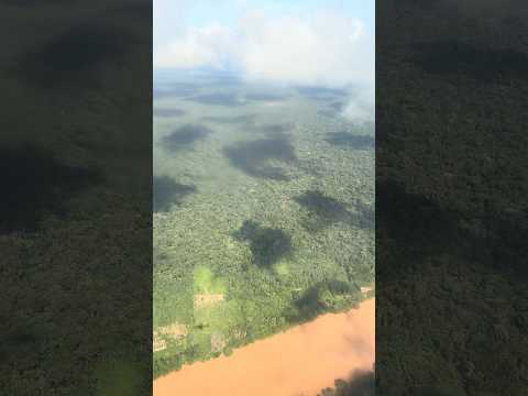 Hilda Temesi video