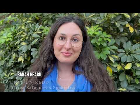 Zambia explores ART-TREES Standard to enhance access to climate finance