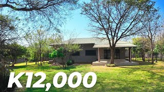 Zed Realtor video