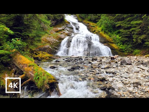 4K Deep Forest Waterfall | Relaxing Nature Ambience | Forest River Nature Sounds for Sleep & Study