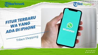 Ini Dia Fitur Terbaru WA Khusus iPhone, Ada Mode 'Picture in Picture Video Call', Apa Itu?