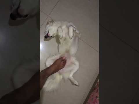 Yogi and Ashira 🥰