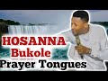 Hosanna Bukole Chants with Tongues by Apostle Edu Udechukwu