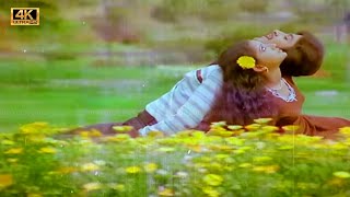 Download lagu கீதம் சங்கீதம் பாடல் | geetham sangeetham song | Ilayaraja | S.P. Balasubrahmanyam and S.P. Sailaja mp3 Download lagu கீதம் சங்கீதம் பாடல் | geetham sangeetham song | Ilayaraja | S.P. Balasubrahmanyam and S.P. Sailaja mp3