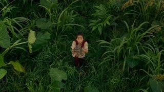 [討論] 哥吉拉對金剛新片段