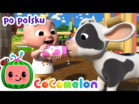 Stary Donald | @CoComelonPoPolsku | Bajki i piosenki dla dzieci po polsku