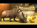 One Apple A Day Leon The Lion 45 Compilation Crazy Animals