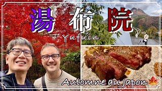 【日本旅行記vlog】 湯布院で紅葉を満喫🍁ニコちゃんが関取に？
