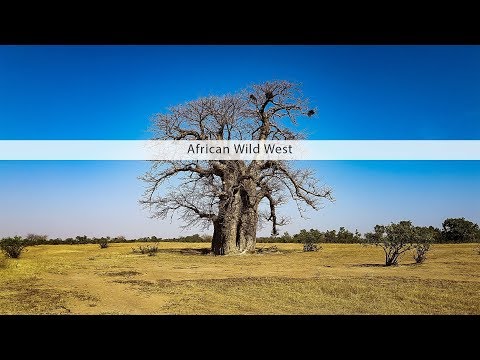 Nature and wildlife sounds from Africa - African Wild West sfx library