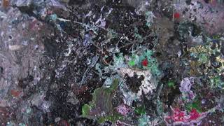 Марсианская Коллекция. Музыка Polished Chrome - Red Sky.