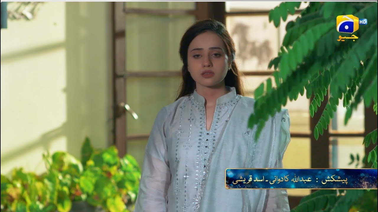 Pathar Dil Episode 91 Promo | Tonight at 7:00 PM only on Har Pal Geo