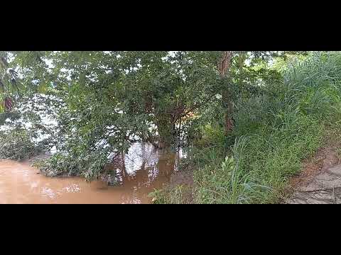 Rio das Velhas em Varzea da Palma MG aumentou o volume de água.