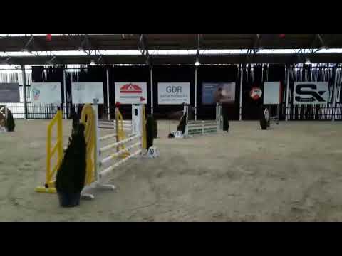 Dolce 85 cm Asse 19/11/2017