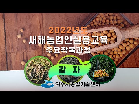 2022년도 새해농업인실용교육 – 감자
