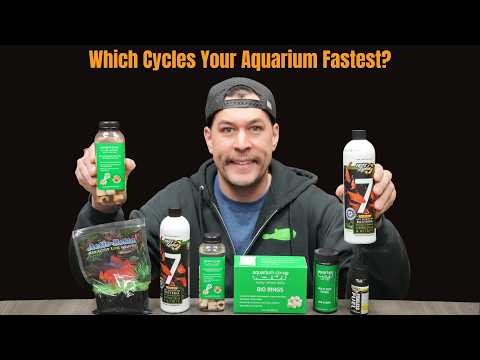 Which One Cycles Your Aquarium Faster? [Data Nerd Video]