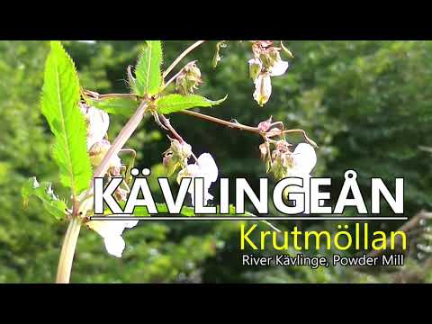 Kävlingeån, Krutmöllan / River Kävlinge, Powder Mill (2018)