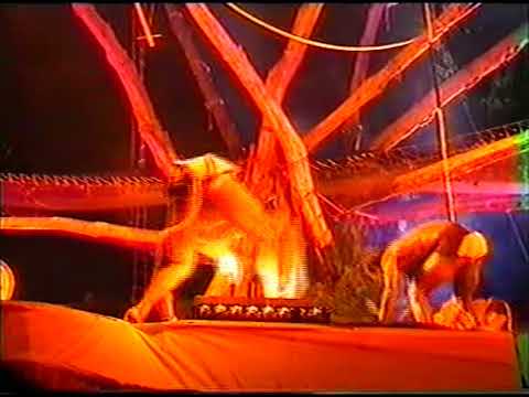 Circus Baobab - La légende du singe Tambourinaire
