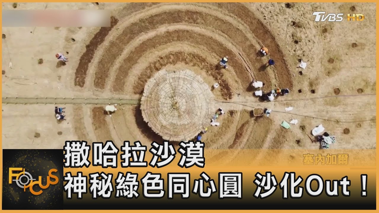 撒哈拉沙漠.神秘綠色同心圓 沙沫化Out！