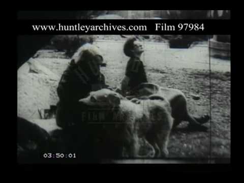 Sights of Munich, 1950s - Film 97984