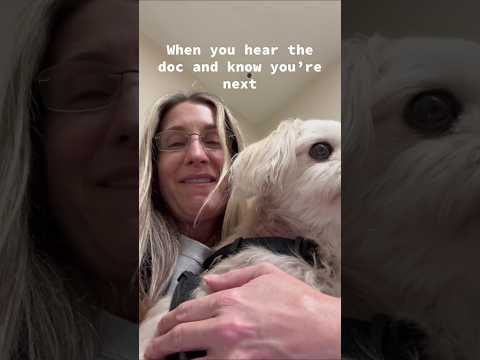 #funny #dogs #pet #dogscats#dogshorts #dog#doglover#doglife