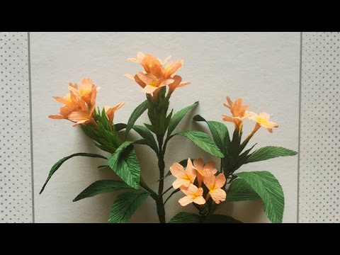 ABC TV | How To Make Crossandra Paper Flower From Crepe Paper - Craft Tutorial
