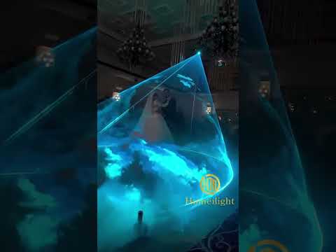 3W 5W 10W 15W animation RGB laser light projector for wedding events night club #factory #wedding