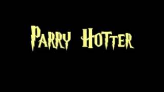 preview picture of video 'Parry Hotter'
