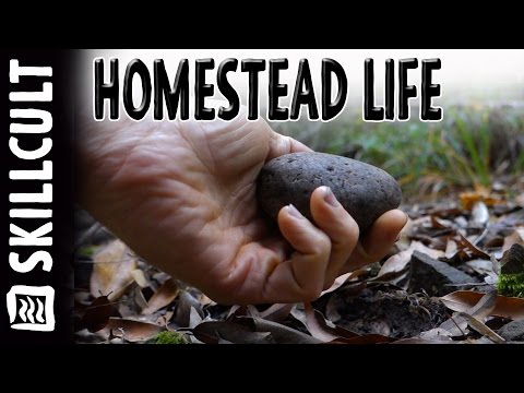 Learning Mushrooms, A Stone Artifact and Bear Tracks