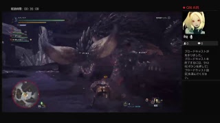 【MHW】仲良し兄弟でモンハンワールド【兄視点】