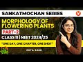 Morphology of Flowering Plants One Shot | Part 2 | NEET 2024-25 | Ekta Soni