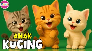 Download lagu Lagu Anak Anak - ANAK KUCING MEONG MEONG - Lagu Anak & Balita Terbaru Paling Populer Sepanjang Masa mp3