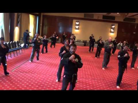 hwal moo do black belt test    22 3 2014