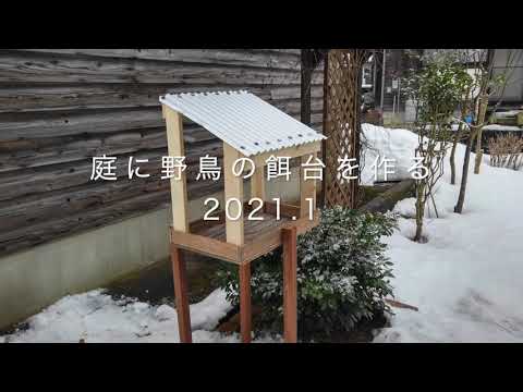 春に鳥に餌をやる方法 オリーブ色のチフチャフ・スウィフトの歌が響く