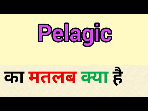 Pelagic meaning in hindi || pelagic ka matlab kya hota hai || word meaning english to hindi