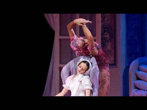 Le Spectre de la rose / The Spirit of the Rose - Ballets Russes