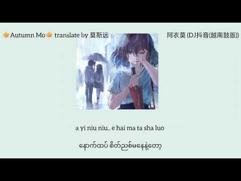 阿吉太组合(阿衣莫 A Yi Mo (DJ抖音_越南鼓版))  mmsub