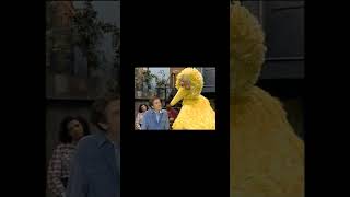 Big bird learns mr hoopers death