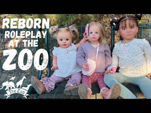 Outing with Reborn Toddler Dolls | The ZOO 🦒🐘🐒 #reborn #rebornbaby #roleplay