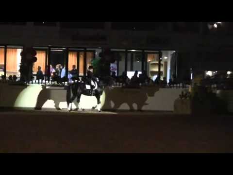 RUBINIO & JENNIFER HOFFMANN NRW AUKTIONSPARADE