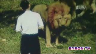 Lion Attacks Preacher