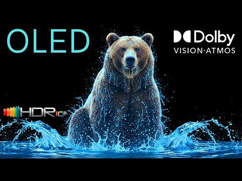 Pure Color Brilliance – OLED 4K HDR Dolby Vision Experience