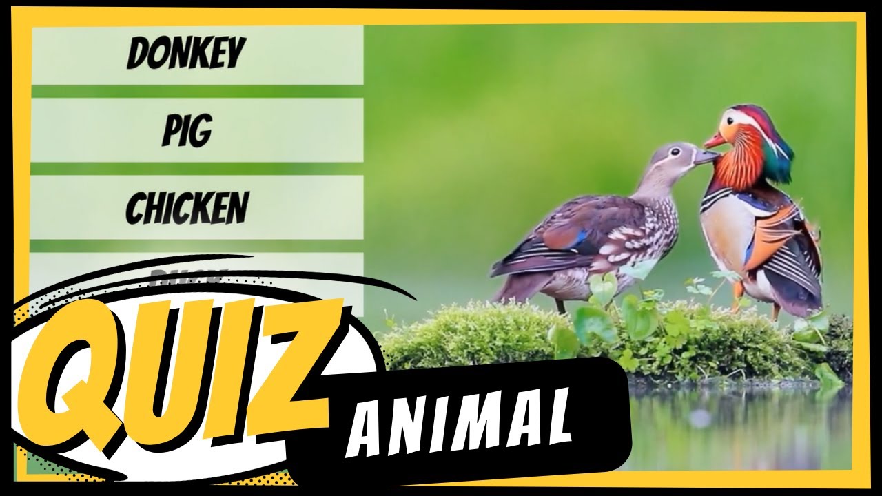 💭 QUIZ ANIMAL #2: Teste seus conhecimentos em inglês! (ANIMAIS DA FAZENDA)