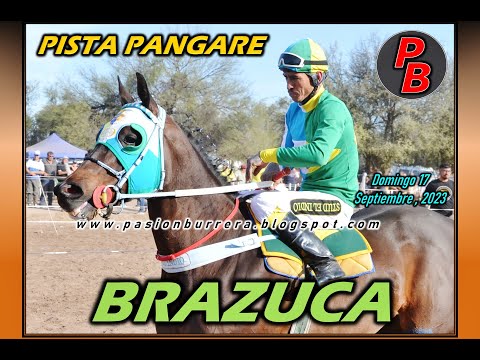 BRAZUCA: PISTA PANGARE - CRUZ DEL EJE (17-09-2023)