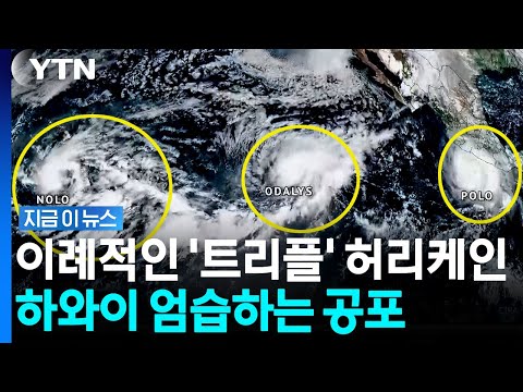 허리케인에 화산까지 심상찮다…하와이 드리우는 불안한 기류 [지금이뉴스] / YTN