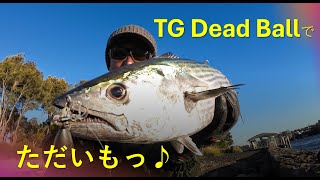 【皆さんおひさっ♪】TGデッドボール実釣編【復活祭】