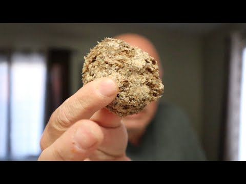 Pemmican 6 Month Update! Is it Still Good?