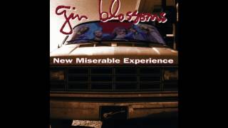 Gin Blossoms - Pieces of The Night